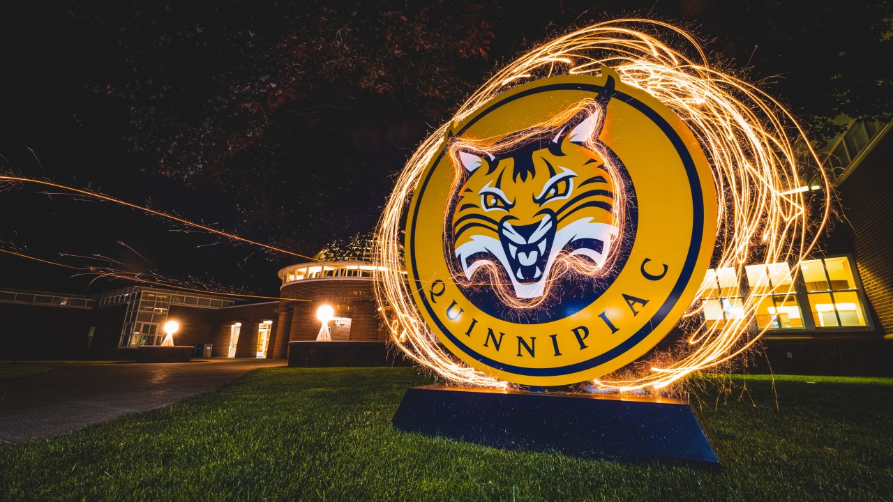Festive light trails from a sparkler encircle a Bobcat sign.