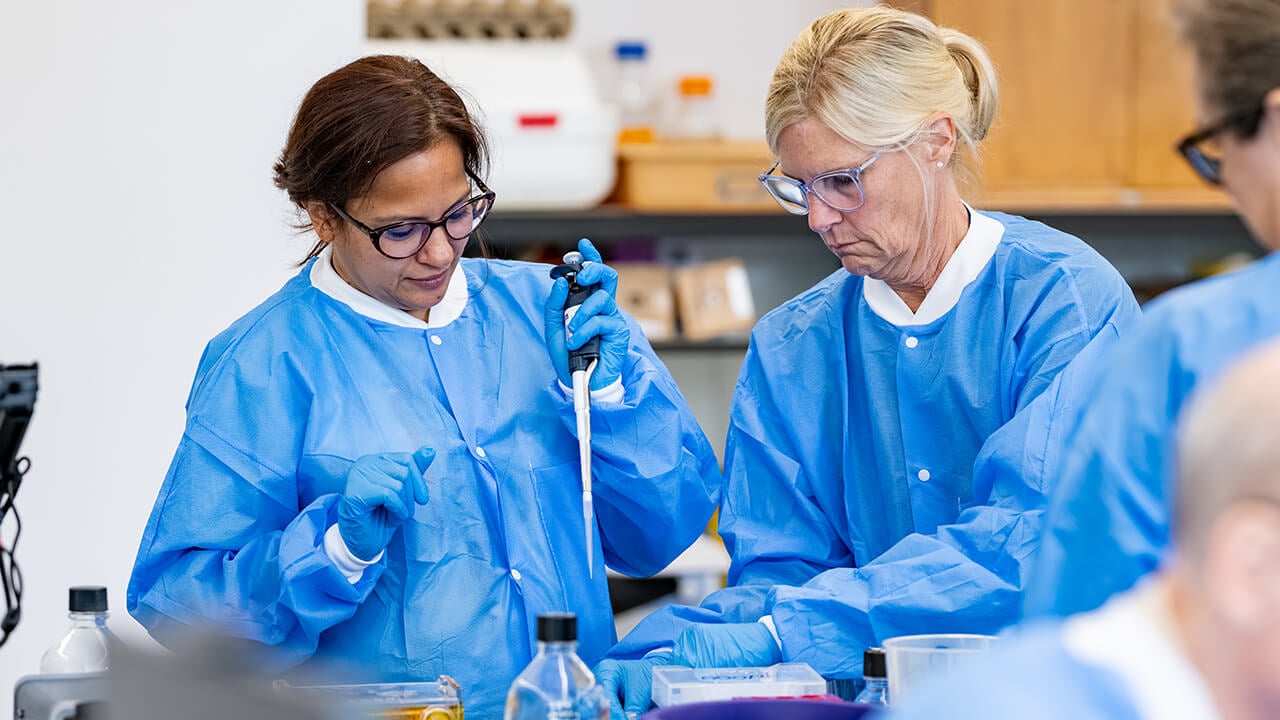 Two workshop participants pipetting liquids