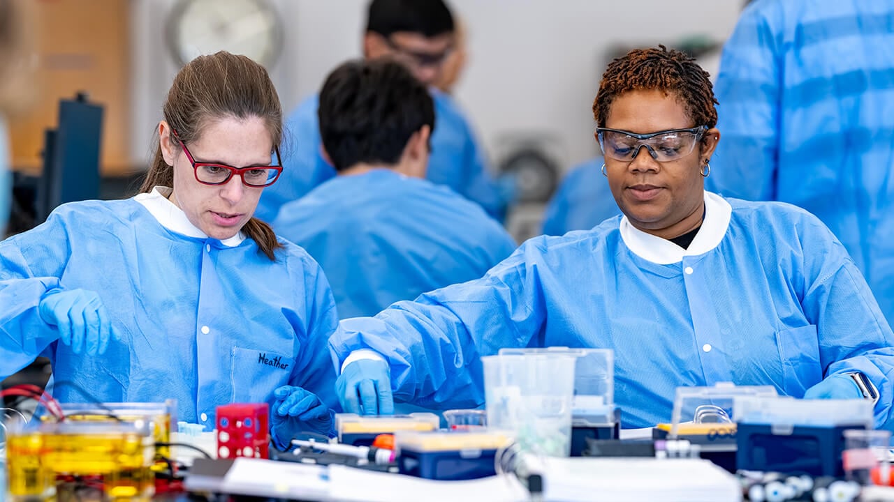 Two workshop participants working through lab procedures