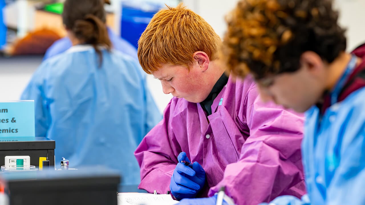 Student working through lab procedure