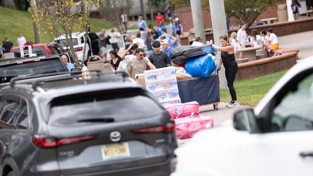 Cars unload for move-in
