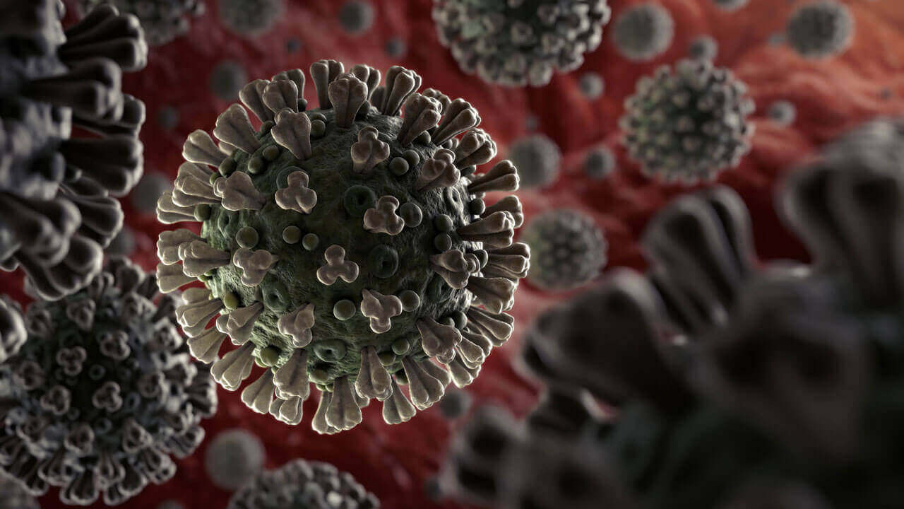 Coronavirus Cells